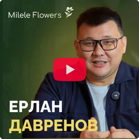 Видео превью